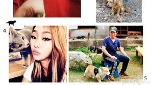반려동물을 닮아가는  스타들
