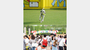 펫케어페스티벌·테마파크·캠핑축제…반려동물과 바람쐬러 가실래요?