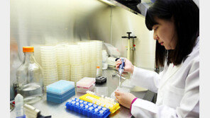 “산에서 소득을” 경북도 산림자원 개발 성과 잇따라