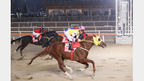 국산 최강 3세마 주인공 가린다