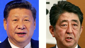 문재인 대통령, 시진핑에 “北도발 없어야 사드해결 용이” 아베엔 “국민 다수 위안부합의 수용못해”