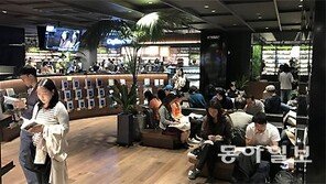 종이책의 반격? 오프라인 서점이 다시 는다