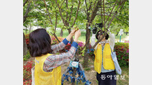 “정원 가꾸기 봉사, 자연과 함께하는 최고의 힐링”