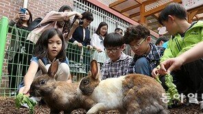 반려동물 입학식