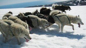 [책의 향기/잔향]노안