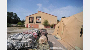 [여행, 나를 찾아서]DMZ 여전히 전장… 기다림 속에 피어나는 평화의 의지 