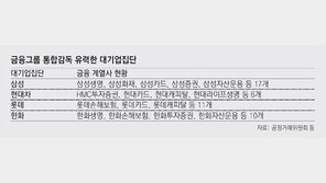 대기업 금융계열사 ‘통합감독’ 도입 급물살