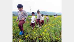 유채꽃 산책길 걷는 어린이들