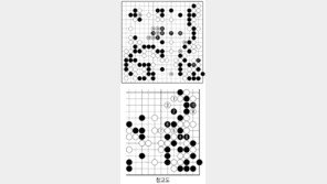 [바둑]알파고 vs 인간 특선보… 현명한 알파고