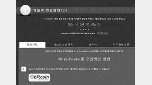 “3일내 300불 안주면 2배, 일주 후 파일 삭제” 랜섬웨어 개발자 누구?