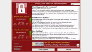 단돈 1만원에 랜섬웨어 확산 막은 22세 英 청년…어떻게?