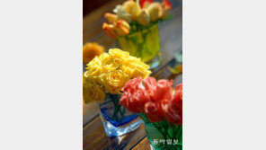 ‘성년의 날’, 고려 광종 성년례(成年禮)서 유래…1973년 첫 기념행사 열려