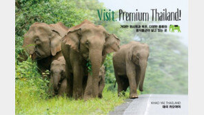 태국여행도 고품격 프리미엄 시대