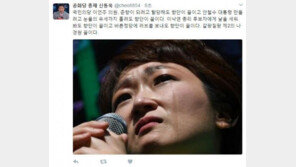 신동욱 “이언주, 이낙연에 날 세워도 향단이 꼴” 일침