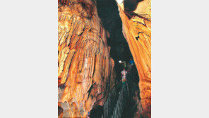 단양군 지질 명소 ‘국가지질공원 인증’ 추진