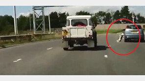 [영상]달리는 자동차 창밖으로 떨어지는 강아지…‘아찔’