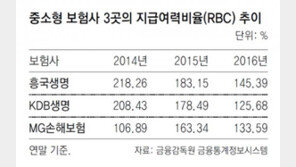 중소형 보험사들 자본 건전성 ‘빨간불’