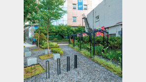 자녀 생일축하… 남편 추모… 사연 담긴 ‘나무 가꾸기’