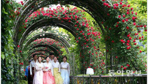 19일부터 서울장미축제 열려