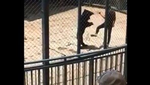 [영상]머리 때리고, 발로 복부 ‘퍽’…멸종위기 곰 학대한 조련사 징계