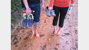 상쾌한 숲길·우아한 낙조… 심학산 둘레길 ‘일상의 쉼표’ 있네