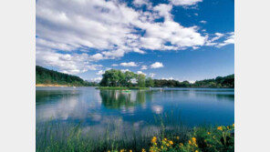 떴다! 제천 의림지…봄여행객 170% 증가