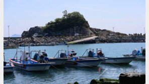 [이야기가 있는 마을] 소나무 타고 승천한 ‘착한 이무기’의 전설