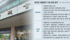 집중투표제 투자 발목 우려… 자율주행차 등 적극 지원을