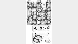 [바둑]알파고 vs 인간 특선보… 되새김질