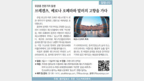 [알립니다]유윤종 전문기자 동행 브레겐츠, 베로나 오페라와 말러의 고향을 가다