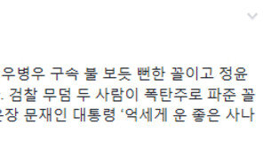 신동욱 “‘돈봉투만찬’ 이영렬·안태근 사의, 우병우 구속 불 보듯 뻔한 꼴”