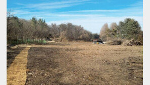 [화제의 분양현장]창조밸리 인근… 330m²당 1900만원 