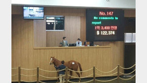 [콤팩트뉴스] 마사회 렛츠런팜 제주, 더러브렛 경매