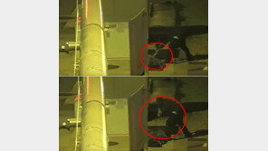 [영상]노숙자 위장 마네킹을 망치로 ‘퍽퍽’…연쇄살인범, 경찰 덫에 딱? 