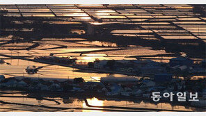 [Feeling]순환하는 철원평야, 다시 생명을 품다