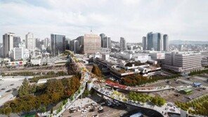 서울로 7017’개장, 논란의 ‘슈즈트리’ 노이즈 효과?…오히려 관심대상