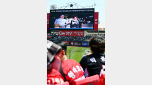 구멍 뚫린 예매사이트, 4개구장 사상초유 대란