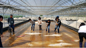 내륙 산골 괴산에서 소금 만든다