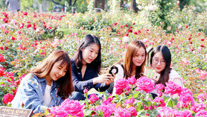 장미공원 찾은 女心