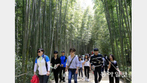 담양 죽녹원에 관광객 몰렸다