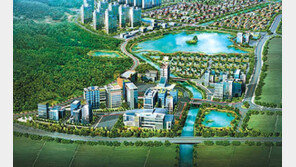 담양첨단문화복합단지 단독주택 터 분양