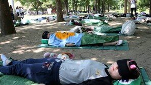 쿨 쿨… 숲속에서 꿀잠