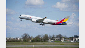 [한국경제 새 길을 찾다/금호아시아나그룹]항공 서비스도 타이어도 프리미엄급