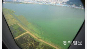 文 대통령, 이명박 정부 ‘4대강’ 감사 지시…정우택 “바람직하지 않아” 반발