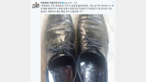 정청래 “‘문재인 구두’에 숟가락 얹는다…텃밭에서 묻은 흙, 닦아 신을 것”