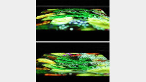 옷처럼 늘어나는 화면… 상상을 현실로