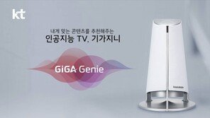 [2017 착한브랜드 대상]대한민국 홈 인공지능 시대 연 ‘GiGA Genie’