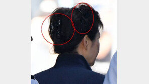 박근혜 ‘올림머리’ 혼자 손질? “혼자 안 해본 사람, 하기 어려워”VS“충분히 가능”