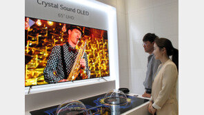 디스플레이의 진화… 스피커-키보드도 품었다