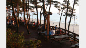 꽃지해변 리솜오션캐슬, 두 가지 바비큐 프로그램 오픈